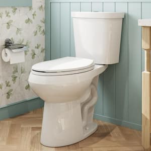 19 in. Tall 2-piece 1.1/1.6 GPF Dual Flush Elongated Toilet Map Flush 1000g, Soft-Close Seat Included