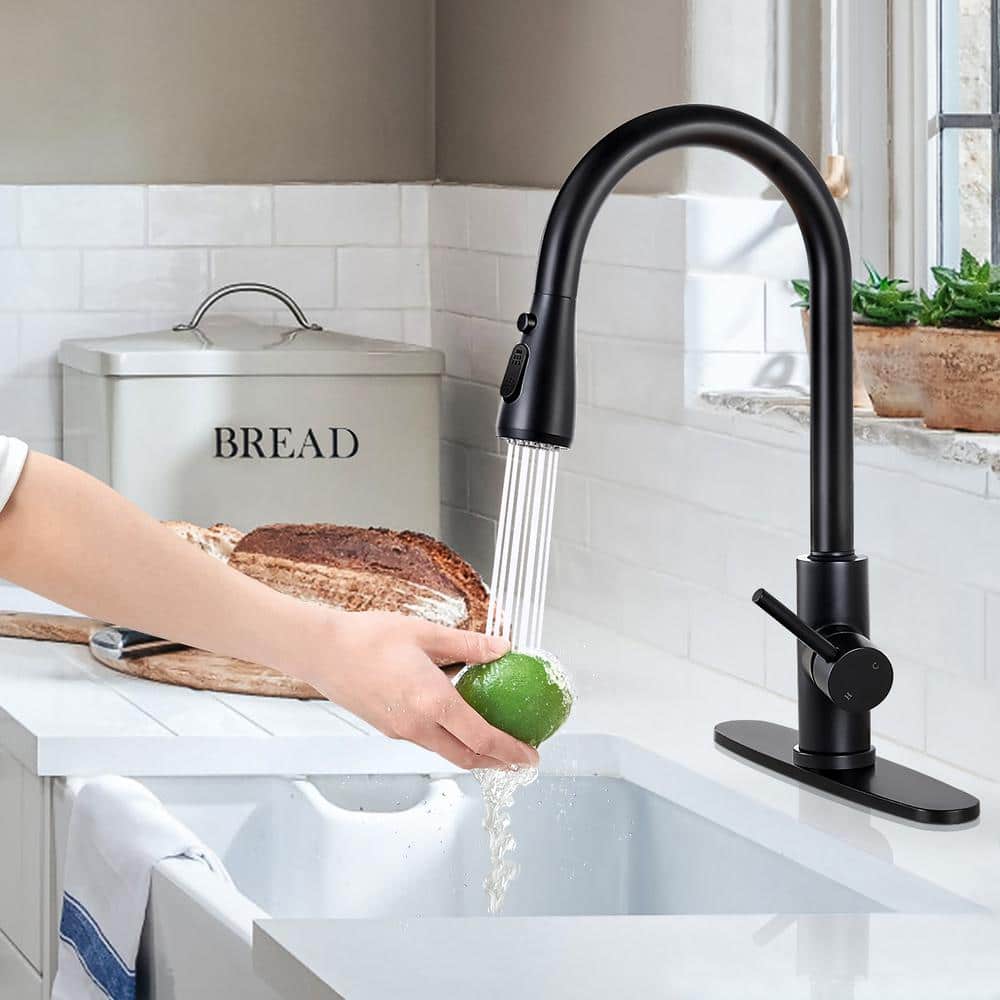 Matte Black Stainless Steel Pull-Down Kitchen Faucet