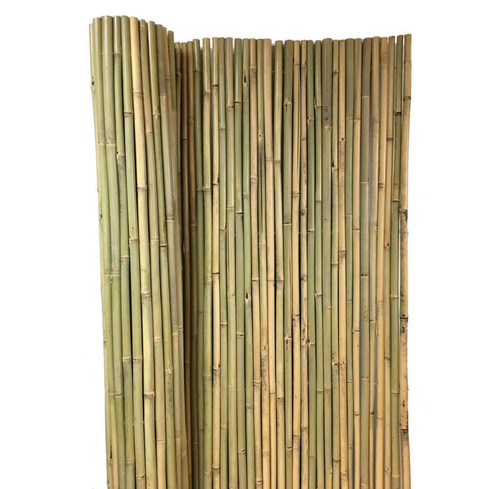 96 in. Natural Tonkin Bamboo Garden Privacy Fence