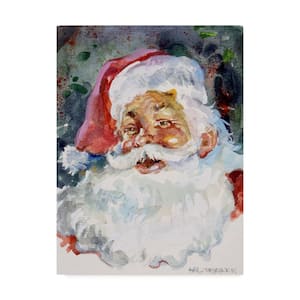 Santa Face by Hal Frenck Hidden Frame Home Wall Art 19 in. x 14 in.