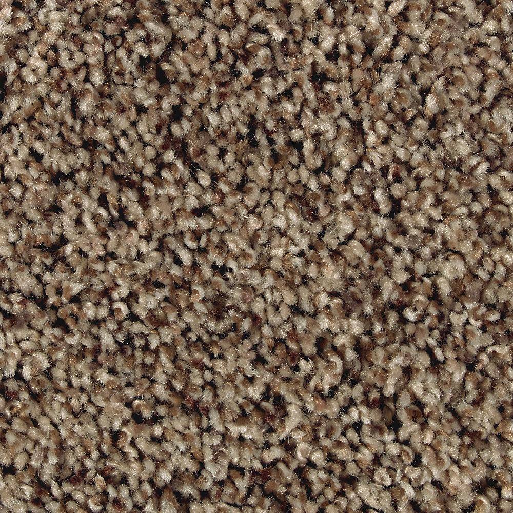 Home Decorators Collection Conard-Color Tuscan Textured 12 ft. Carpet