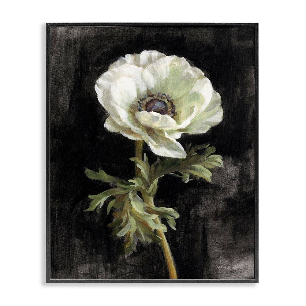 Anemone on Black by Danhui Nai Black Framed Nature Giclee Art Print 30 in. x 24 in.