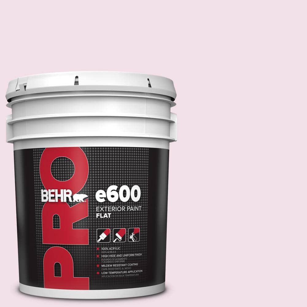 5 gal. #M120-1 Pink Proposal Flat Paint price history on PriceWatchPro