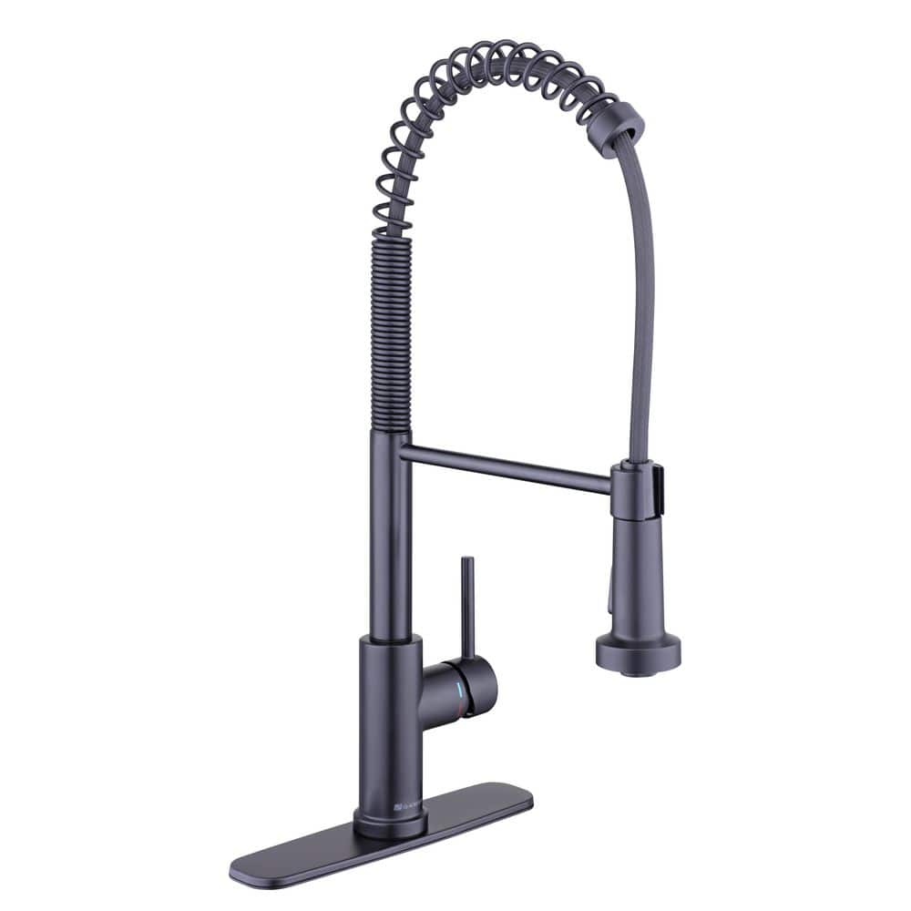 Glacier Bay Paulina Single-Handle Spring Neck Pull Down Sprayer Kitchen Faucet in Matte Black