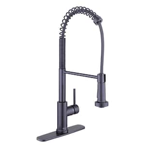 Paulina Single-Handle Spring Neck Pull Down Sprayer Kitchen Faucet in Matte Black