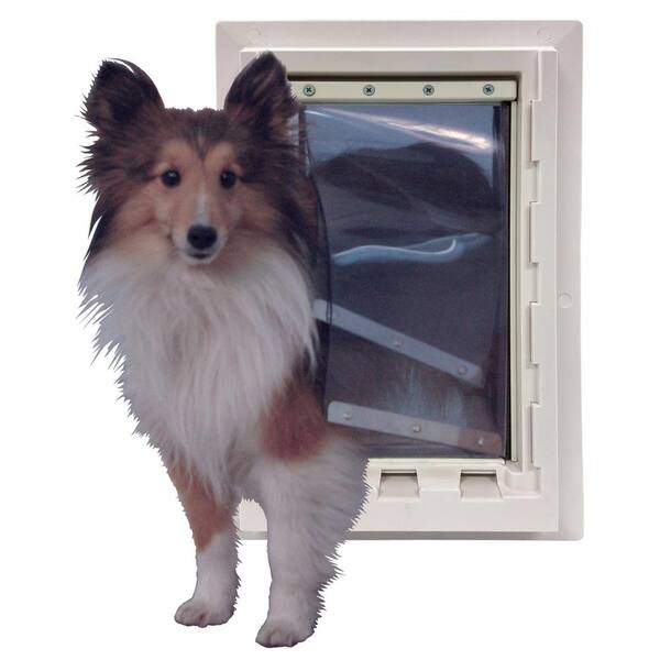 dog flap medium