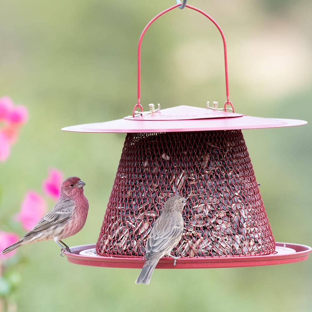 Red Metal Hanging Bird Feeder with Mesh Design