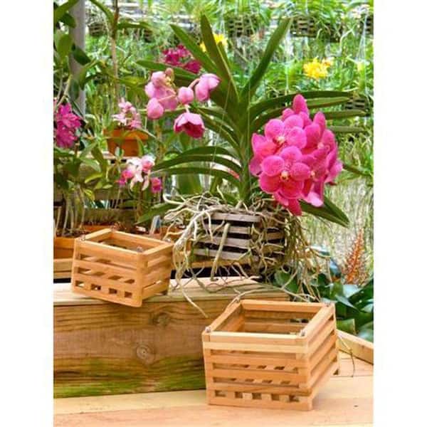 Orchid Wood Basket - Square