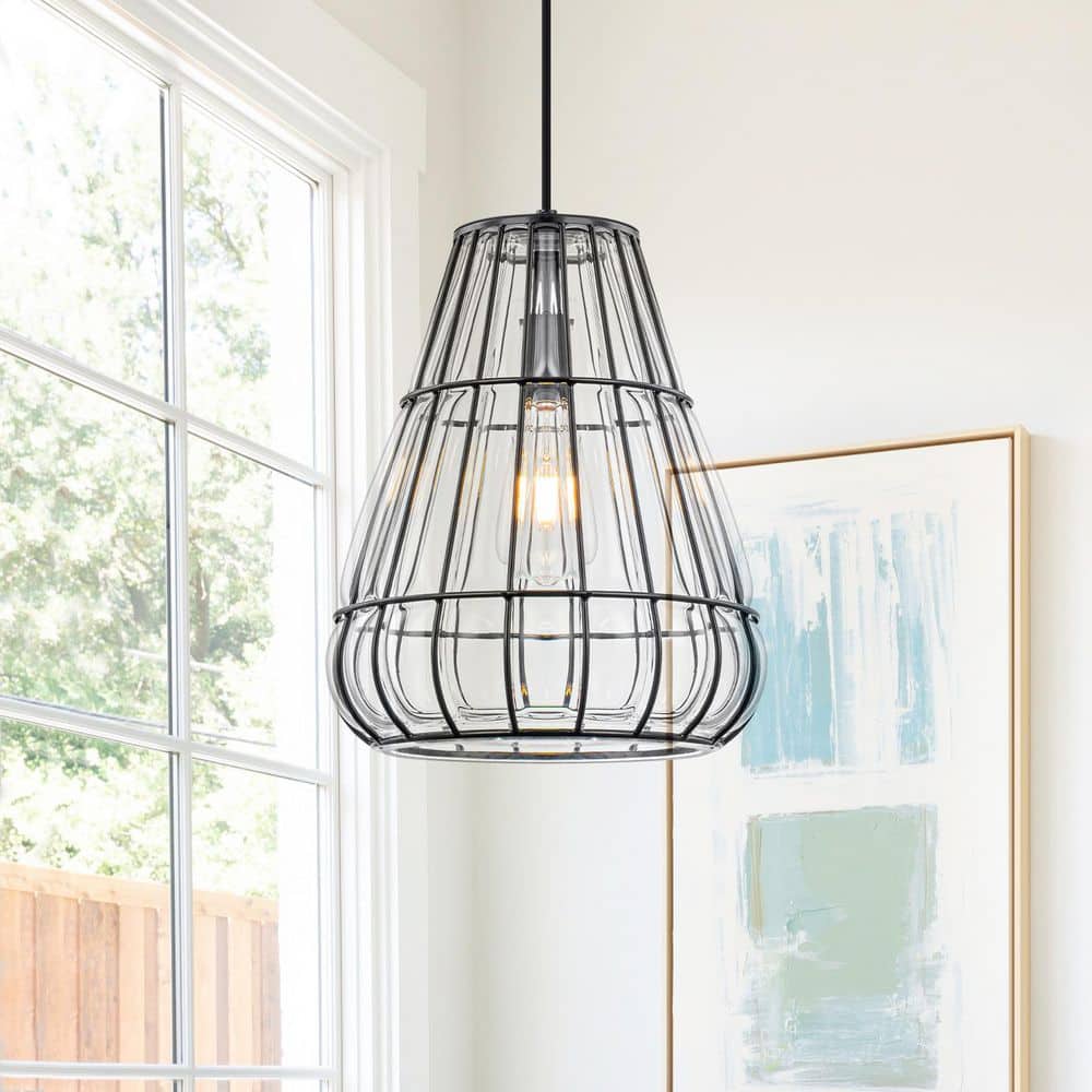 11 in. 1-Light Matte Black Iron Mesh Pendant Light with Clear Glass Globe Shade price history on PriceWatchPro