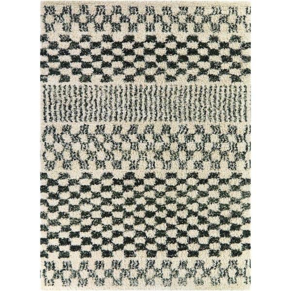 Mendieta Green 5 ft. 3 in. x 7 ft. Checkered Area Rug
