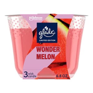 6.8 oz. Wonder Melon 3 Wick Scented Candle