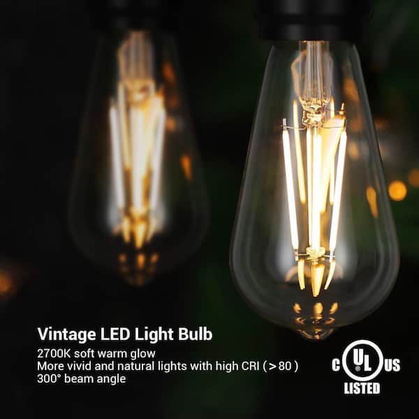 DEWENWILS 60-Watt Equivalent ST64 Dimmable Edison LED Light Bulb