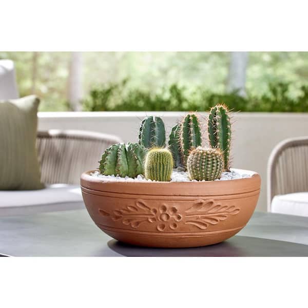 Vigoro Large Brown Terracotta Cactus Dish Planter with Drainage Hole (16  in. L x 16 in. W x 6 in. H) C9 - The Home Depot