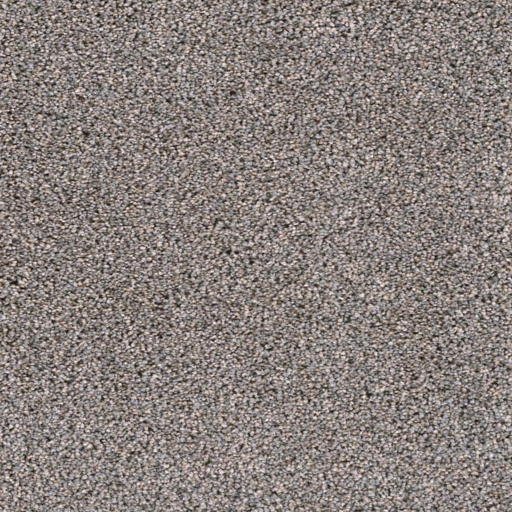 8 in. x  8 in. Texture Carpet Sample - Affectionate I -Color Keen price history on PriceWatchPro