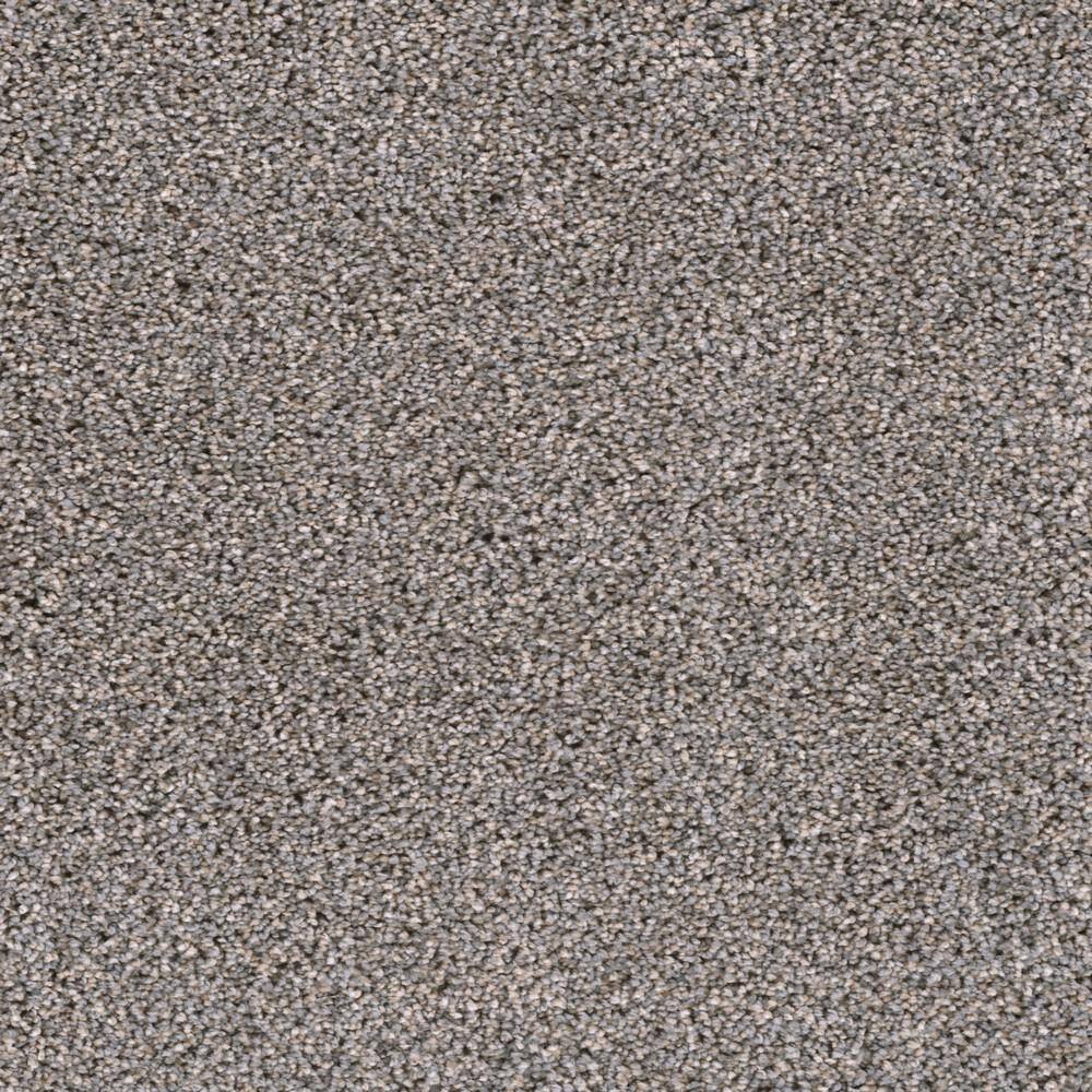 8 in. x  8 in. Texture Carpet Sample - Affectionate II -Color Keen price history on PriceWatchPro