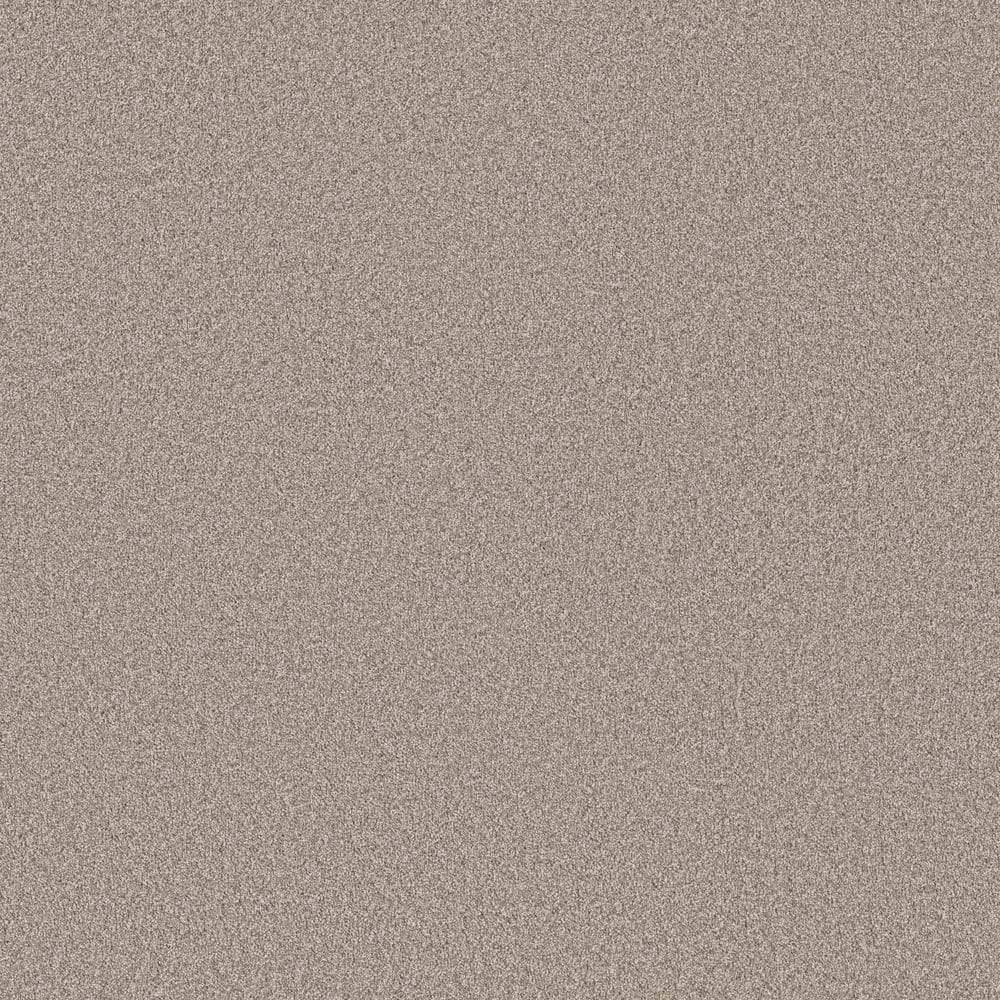 8 in. x 8 in. Texture Carpet Sample - Snug Sweets II - Color Earthshade price history on PriceWatchPro