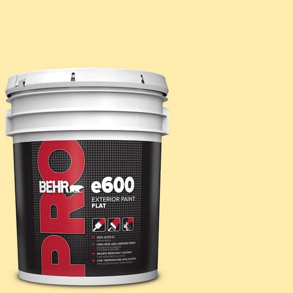 5 gal. #370A-2 Pale Daffodil Flat Exterior Paint