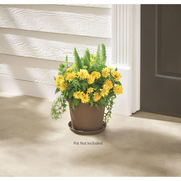 artificial fiddle fig leaf tree Artificial Fiddle Leaf Fig Plant (8ft)
