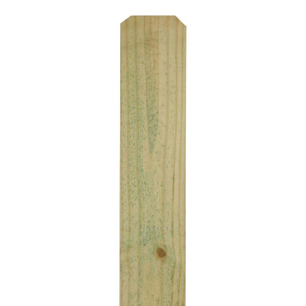 5/8 in. x 6 in. x 6 ft. Dog Ear Brazilian Pine Fence Picket (10-Pack) price history on PriceWatchPro