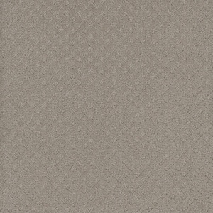 Camelia Lane - Mollie - Beige 28 oz. SD Polyester Loop Installed Carpet