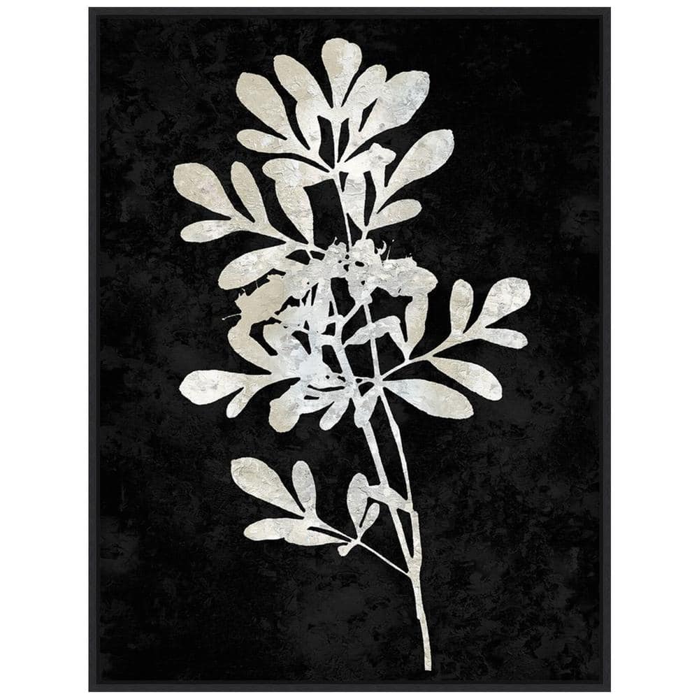Plant Life White on Black Canvas Wall Art with Black Frame