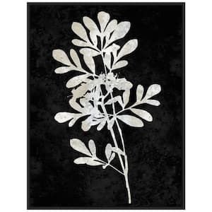 "Plant Life White on Black II" 1-Piece Floater Frame Canvas Transfer Nature Art Print 30 in. x 23 in.