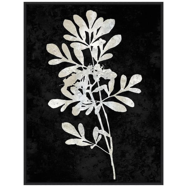 Amanti Art "Plant Life White on Black II" 1-Piece Floater Frame Canvas Transfer Nature Art Print 30 in. x 23 in.
