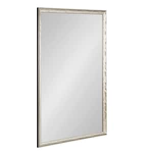Illiona 24.00 in. W x 36.00 in. H Silver Rectangle Transitional Framed Decorative Wall Mirror
