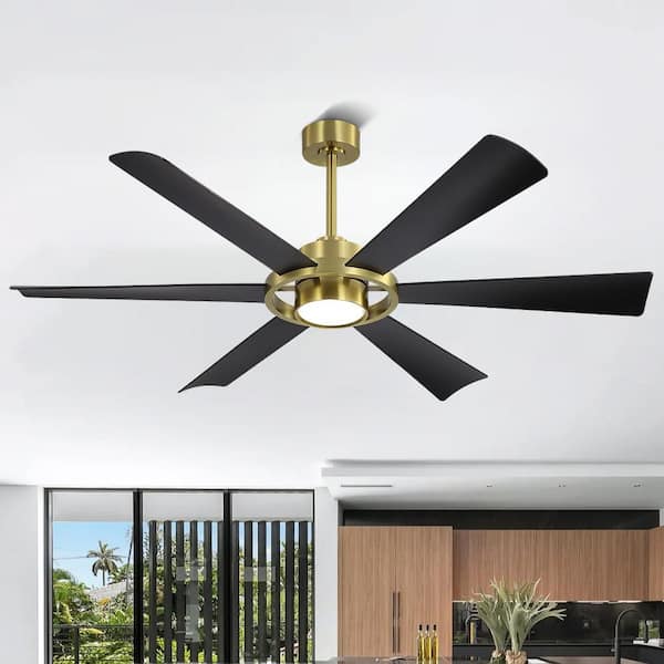 60 in. (5 ft.) 6-Plywood Blades Black and Gold Indoor LED Ceiling Fan with Remote Down-rod Mount