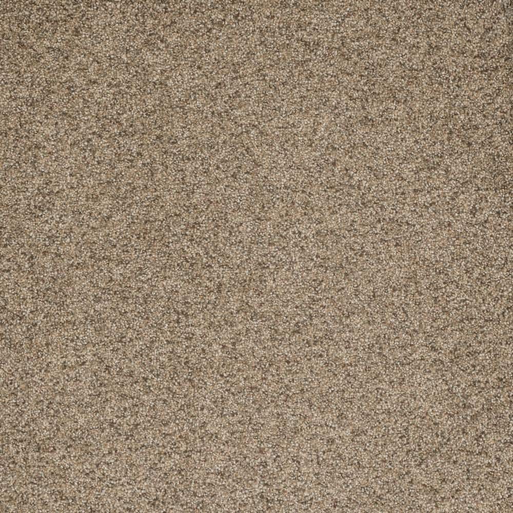 8 in. x  8 in. Texture Carpet Sample - Bradmore II -Color Shy price history on PriceWatchPro