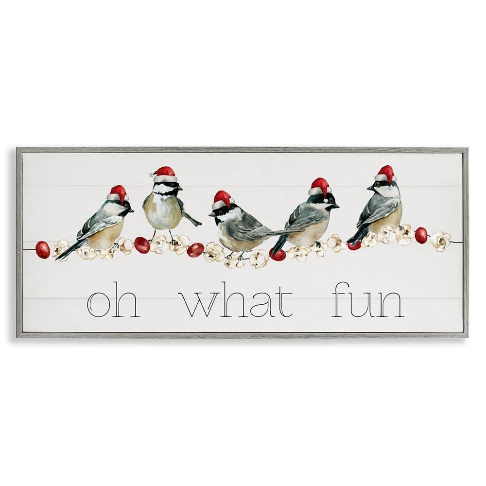 Oh What Fun Holiday Birds by Livi Finn 1 Piece Gray Framed Giclee Animal Art Print 13 in. x 30 in. price history on PriceWatchPro