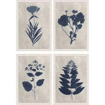 Pressed Flower Pressed Flower I by Unknown 4-Piece Framed Nature Wall Art 19 in. x 13 in.