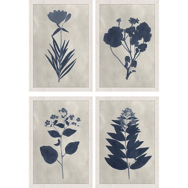 Pressed Flower Pressed Flower I by Unknown 4-Piece Framed Nature Wall Art 19 in. x 13 in.