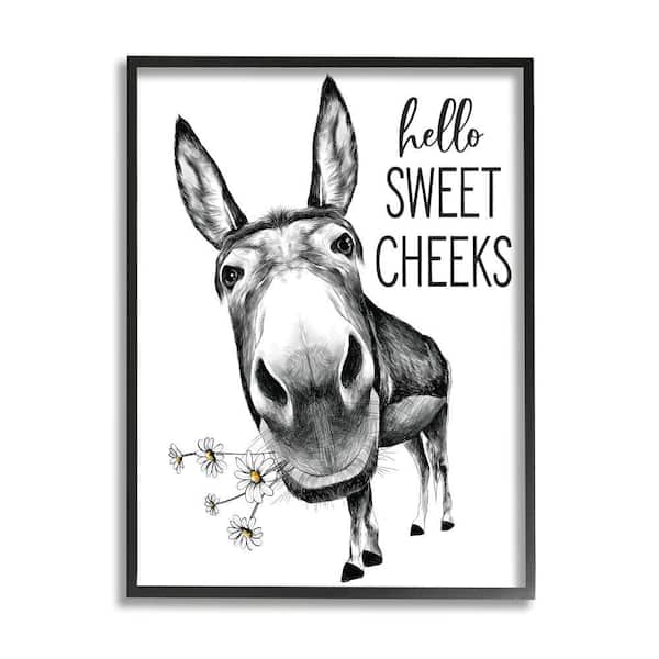Stupell Industries "Hello Sweet Cheek Animal Humor Donkey Daisy" by Lettered and Lined Framed Animal Texturized Art Print 16 in. x 20 in.