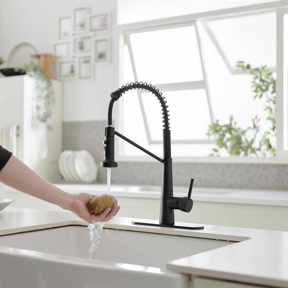 Matte Black Single-Handle Pull-Down Sprayer High Arc Kitchen Faucet