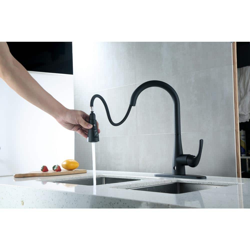 Leeds Matte Black Stainless Steel Pull-Down Kitchen Faucet