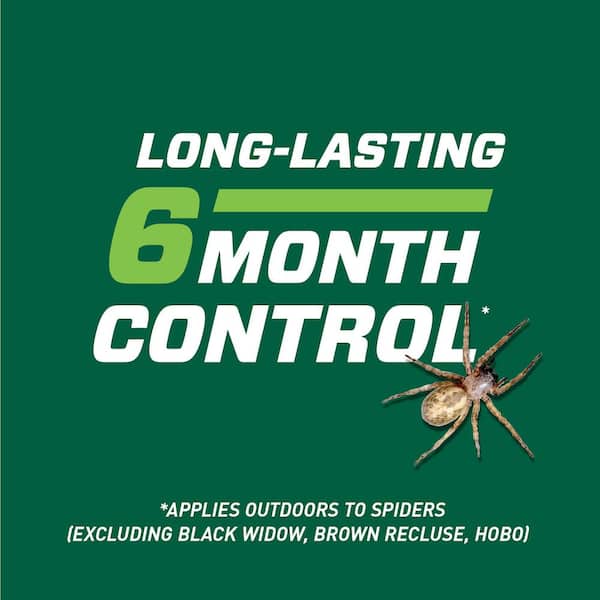 Timto Insect Catcher - Spider Catcher - Insect Control - Spider