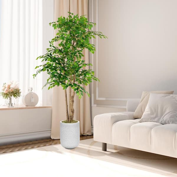 Unbranded 6 ft. Tall Artificial Ficus Trees 3-Natural Curved Trunks for Home Decor Indoor Office Home Decor
