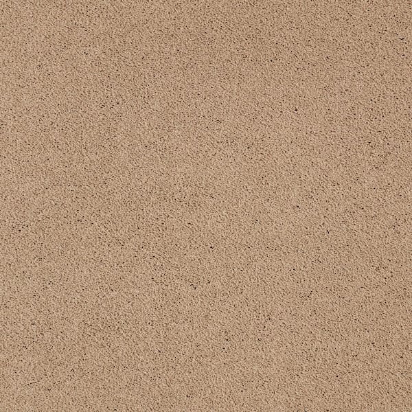 Lifeproof Appreciate I  - Dreams - Beige 47 oz. Triexta Texture Installed Carpet