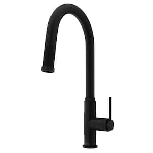 Hart Arched Single Handle Pull-Down Spout Kitchen Faucet in Matte Black