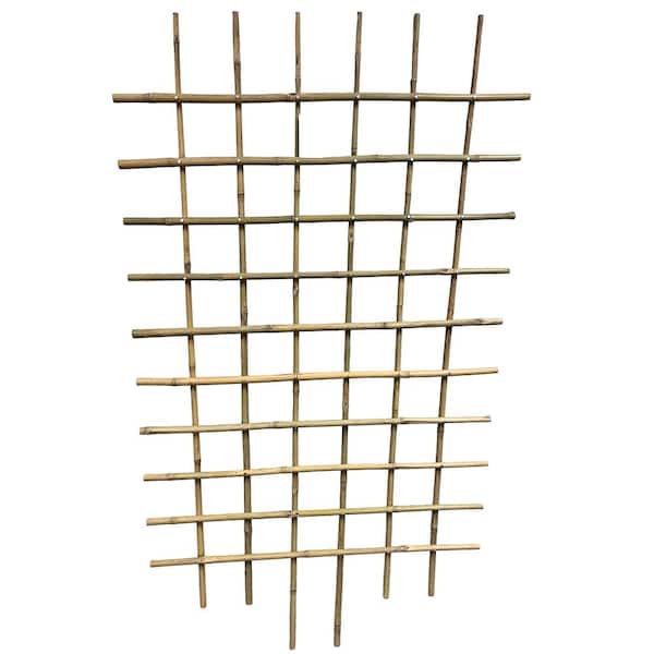 60 in. Bamboo Espalier Trellis