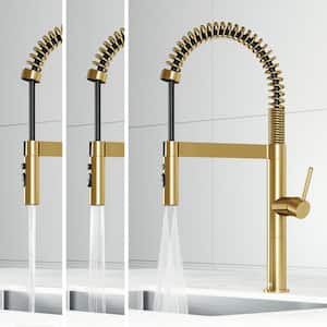Edison Pro 20 in. Single Handle Pull Down Sprayer Kitchen Faucet in Matte Brushed Gold