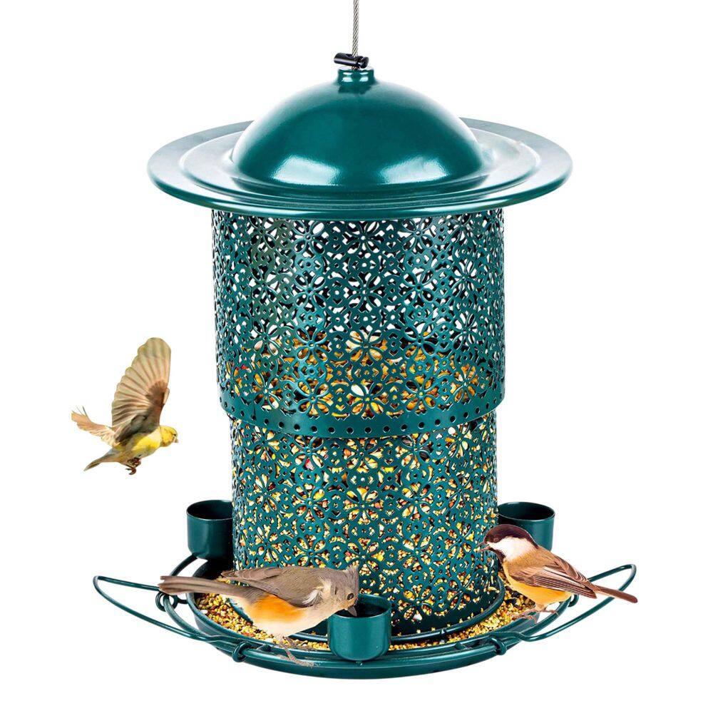 Green Metal Hanging Rain Rust Resistant Extra Large Wild Bird Feeder 7LB Capacity with Multiple Perches Ports price history on PriceWatchPro