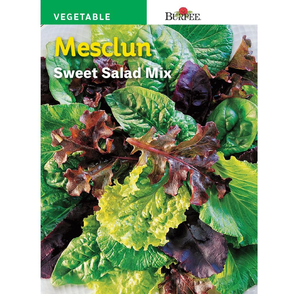 Burpee Mesclun Sweet Salad Mix Seed 60207 - The Depot