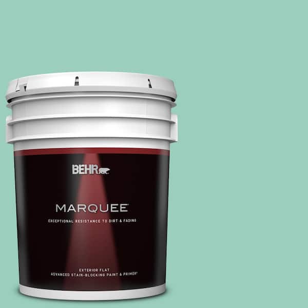 BEHR MARQUEE 5 gal. Home Decorators Collection #HDC-SM14-6 Thermal Aqua Flat Exterior Paint & Primer