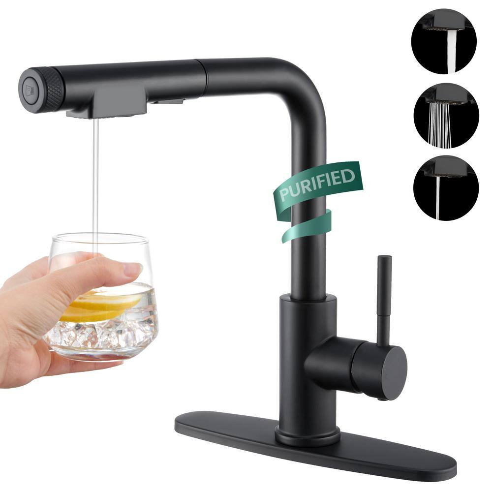 Matte Black Stainless Steel Pull-Out Spray Kitchen Faucet
