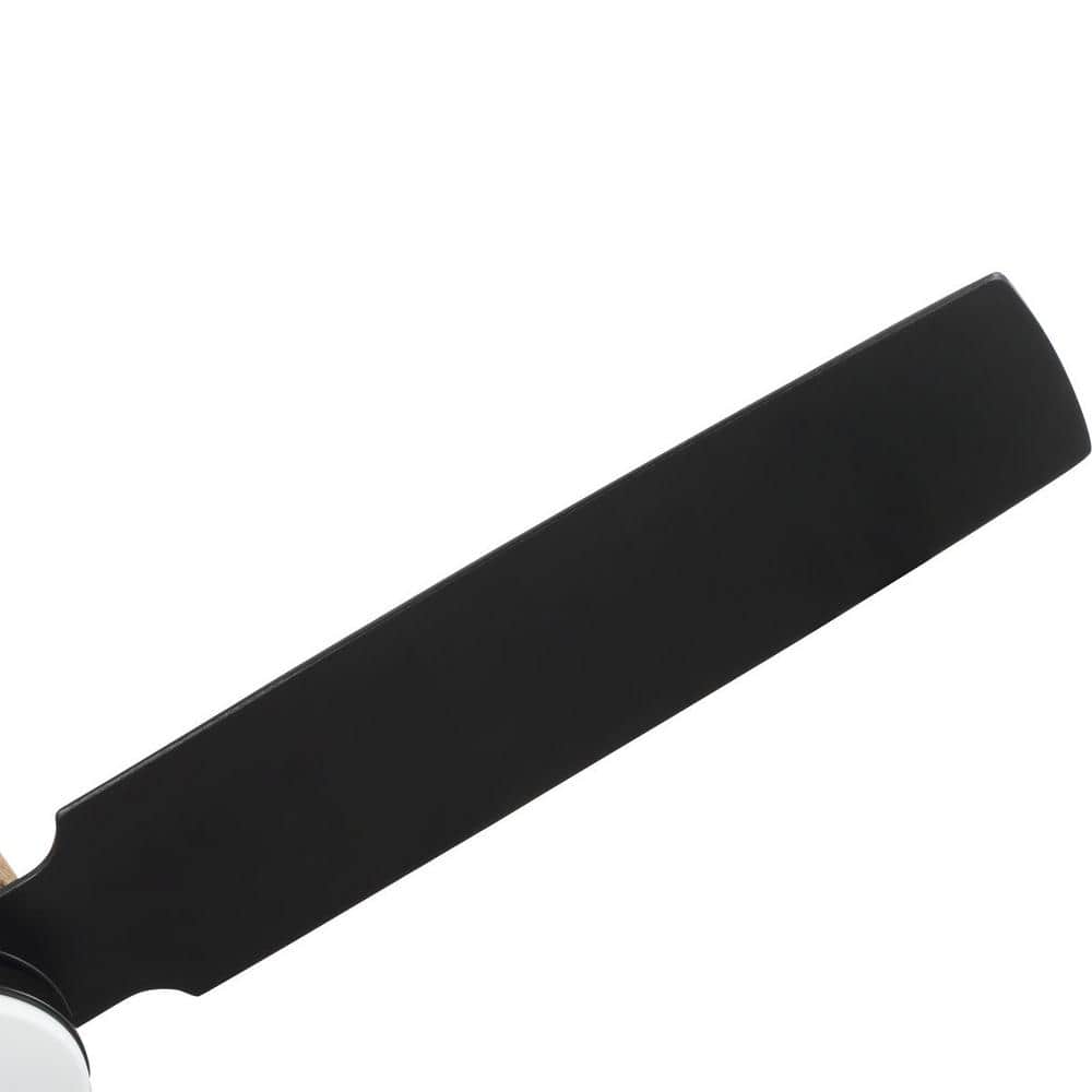 Shaffer II Matte Black 56" Ceiling Fan with LED Light and Remote