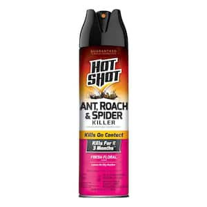 17.5 oz Ant, Roach and Spider Insect Killer Aerosol Spray Fresh Floral Scent