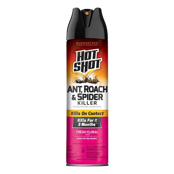 Hot Shot 17.5 oz Ant, Roach and Spider Insect Killer Aerosol Spray Fresh Floral Scent