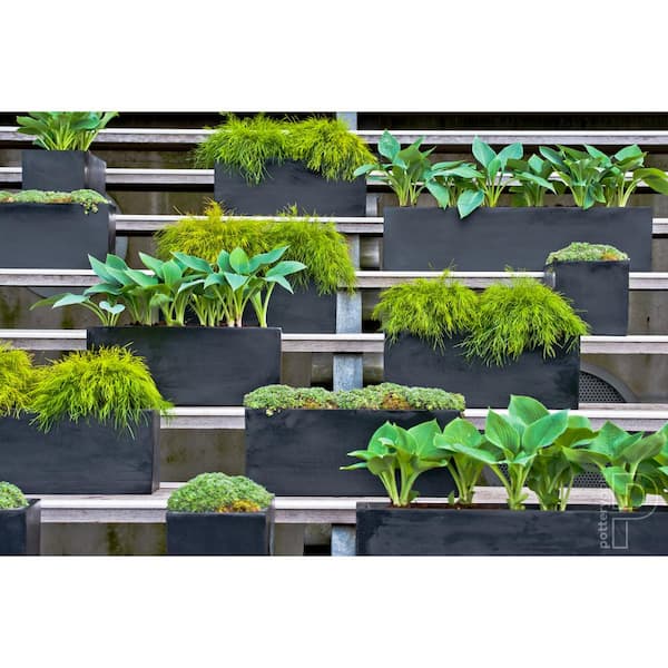 Balcony Extra Small 15.7 in. W Black Fiberstone Indoor Outdoor Modern Rectangle Planter